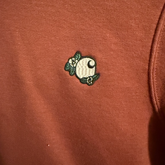 Carhartt Embroidered Relaxed Fit Hoodie - Picture 4 of 5